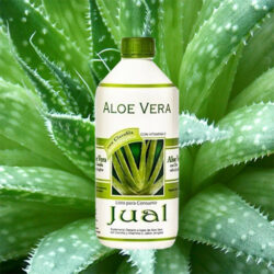 Propiedades del Aloe vera