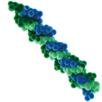 Peptidos de colageno